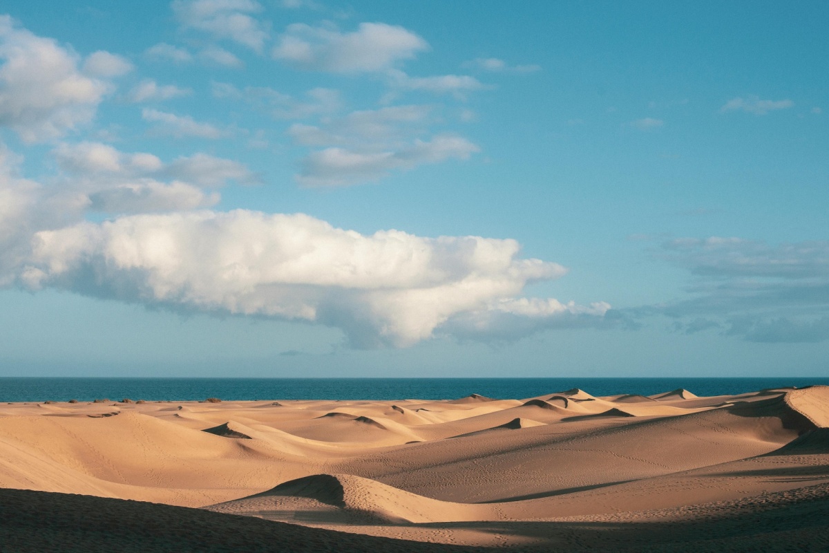 Maspalomas beach at sunset with the dunes and the Atlantic Ocean in the background.