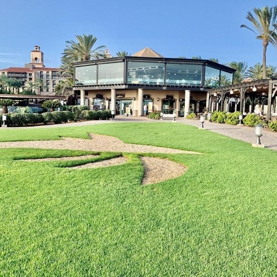 Discover Gran Canaria Shopping
